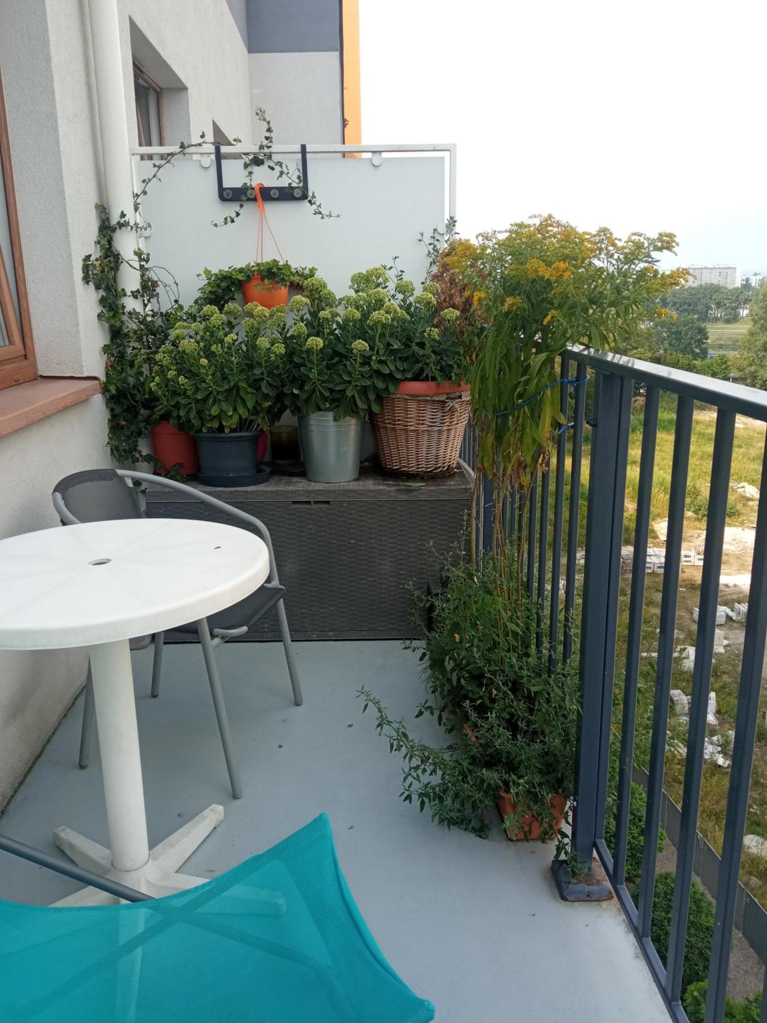 Nighthost Kleczkowska 49 M53 Wroclaw Apartment Ngoại thất bức ảnh